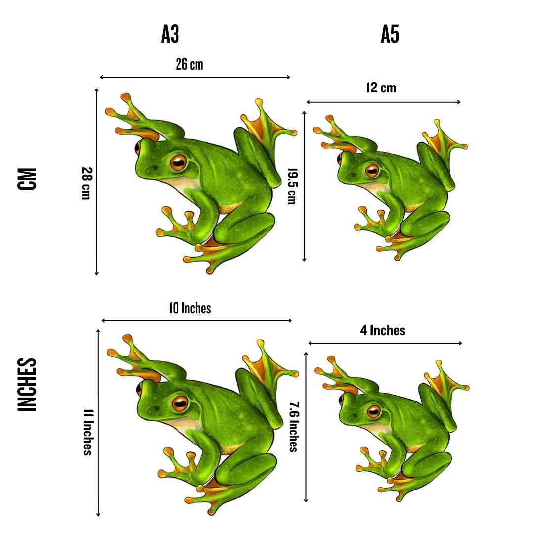 Frog - Jigsaw Puzzle